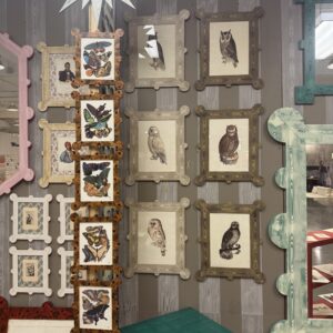 Series- 19th Century Owls