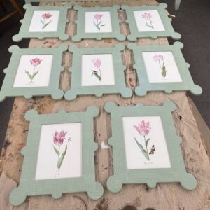 Series- 18th Century Weinmann Tulips
