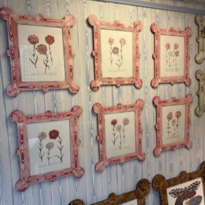 Series- 1740s Weinmann botanicals